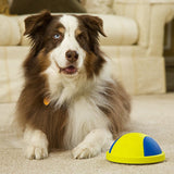 Indoor Gliding Squeaky Dog Toy