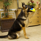Indoor Gliding Squeaky Dog Toy