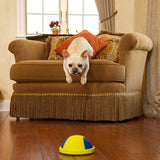 Indoor Gliding Squeaky Dog Toy