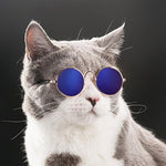 CAT & DOG Glasses