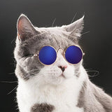 CAT & DOG Glasses