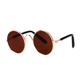 CAT & DOG Glasses