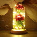 Red Rose In Glass Dome Lamp for Gifts