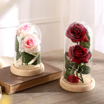 Red Rose In Glass Dome Lamp for Gifts