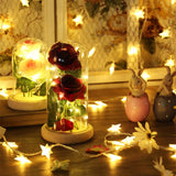 Red Rose In Glass Dome Lamp for Gifts