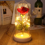 Red Rose In Glass Dome Lamp for Gifts