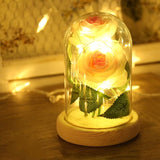 Red Rose In Glass Dome Lamp for Gifts