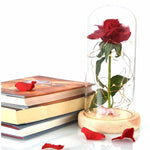 Red Rose In Glass Dome Lamp for Gifts