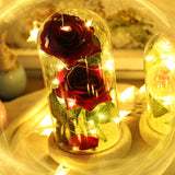 Red Rose In Glass Dome Lamp for Gifts