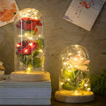 Red Rose In Glass Dome Lamp for Gifts