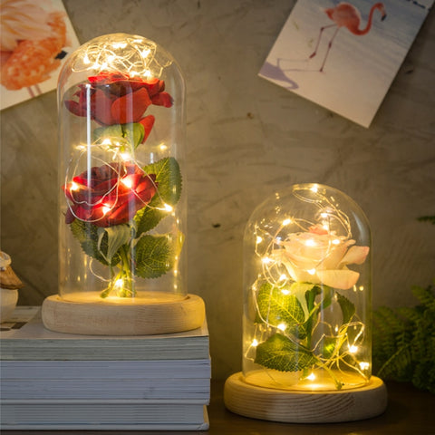 Red Rose In Glass Dome Lamp for Gifts