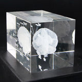 Human Brain Diagram Crystal Cube