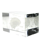 Human Brain Diagram Crystal Cube