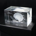 Human Brain Diagram Crystal Cube