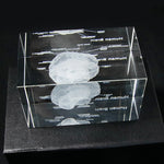 Human Brain Diagram Crystal Cube