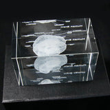 Human Brain Diagram Crystal Cube