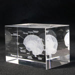 Human Brain Diagram Crystal Cube