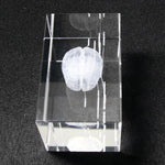 Human Brain Diagram Crystal Cube