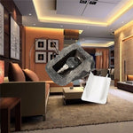 Rock Stone Case To Hide Key